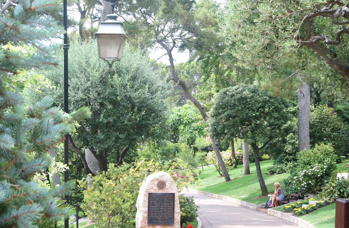 Monte Carlo